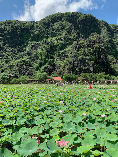 Top 20 cửa hàng altech Huyện Hoa Lư Ninh Bình 2022