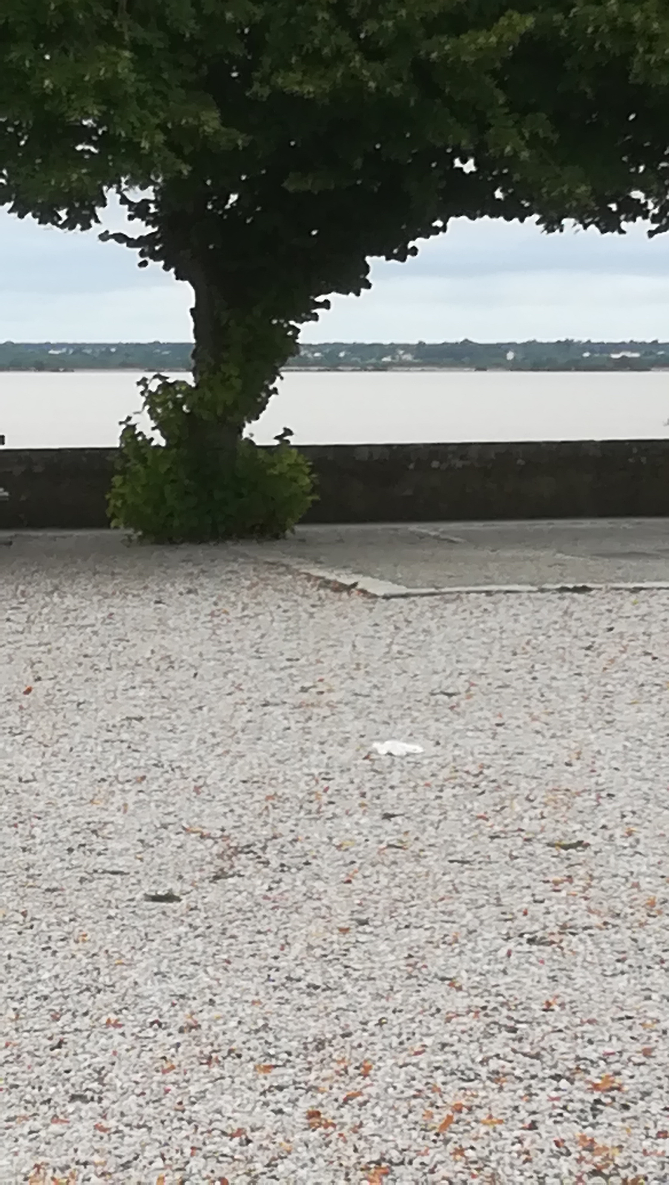 Photo n° 3 de l'avis de Geneviève.i fait le 30/06/2020 à 13:01