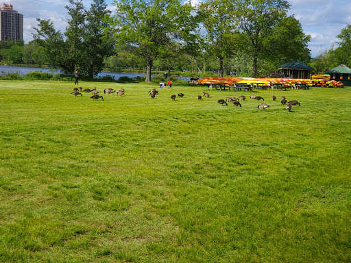 Museum «Plumbing Museum», reviews and photos, 80 Rosedale Rd, Watertown, MA 02472, USA