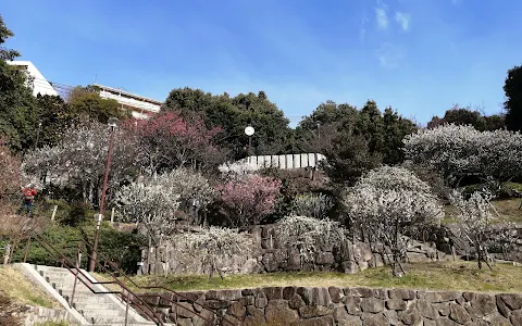 Okamoto Bairin Park image