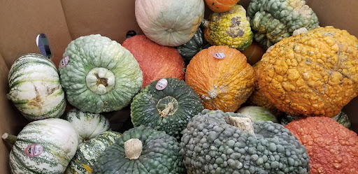 Supermarket «Walmart Neighborhood Market», reviews and photos, 9100 Alcosta Blvd, San Ramon, CA 94583, USA