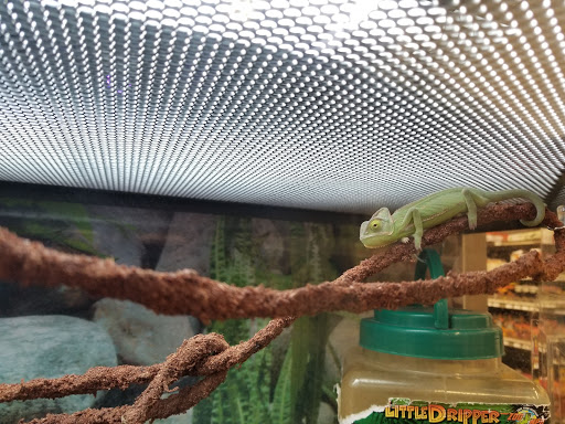 Pet Supply Store «Petco Animal Supplies», reviews and photos, 178 Township Blvd, Camillus, NY 13031, USA