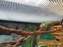 Petco - Photo 9 - Car repair in Camillus, NY, Syracuse