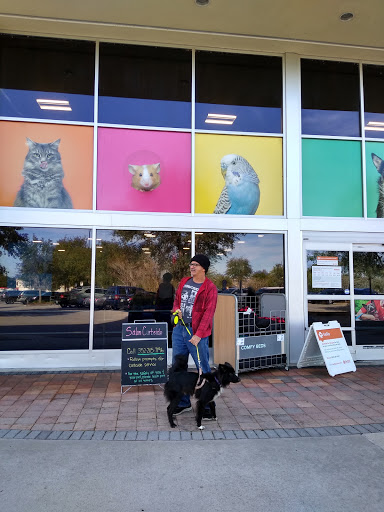 Pet Supply Store «PetSmart», reviews and photos, 534 US-441, Lady Lake, FL 32159, USA