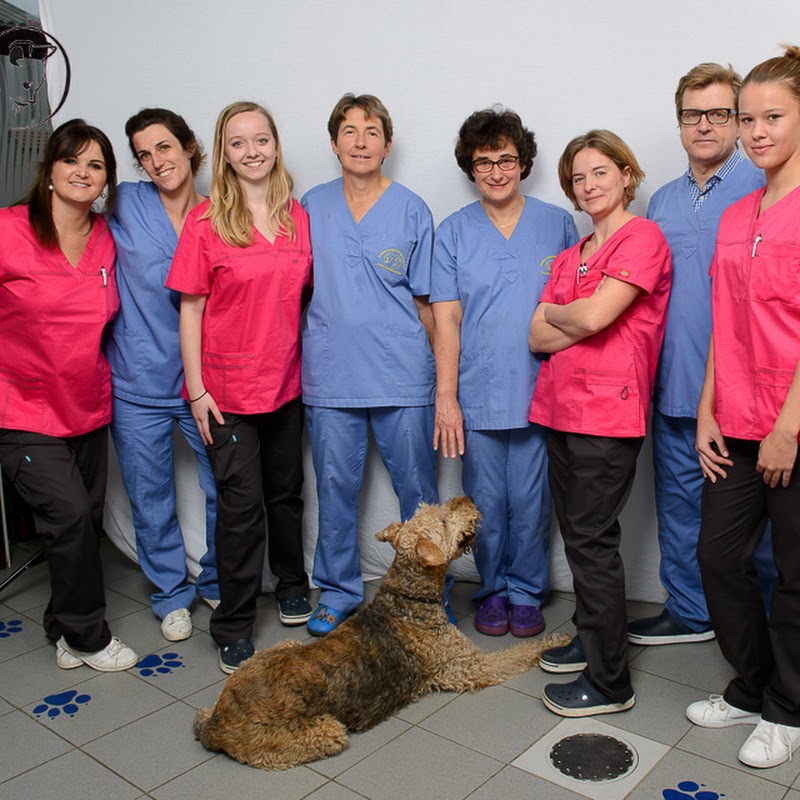 Clinique Vétérinaire des Etessiaux-Docteurs Seznec, Lobry et Roret