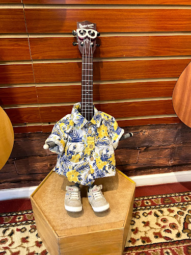 Opiniones de #UkeBkn - Expertos en Ukeleles en Ñuñoa - Tienda de instrumentos musicales