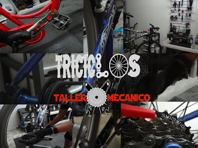 Taller de Bicicletas 'Triciclos Bikes'