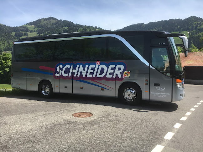 Rezensionen über Busreisen-Schneider, Bus- und Carreisen in Grenchen - Reisebüro