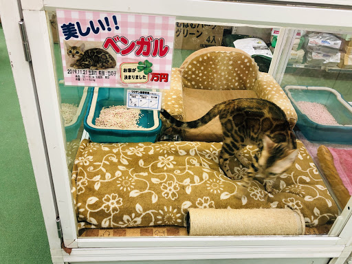 ZOO Shin-Okubo