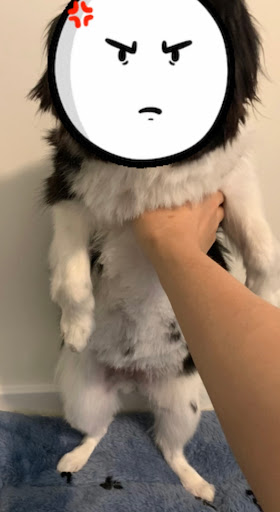 Pet Supply Store «Petco Animal Supplies», reviews and photos, 1255 Raritan Rd #140, Clark, NJ 07066, USA