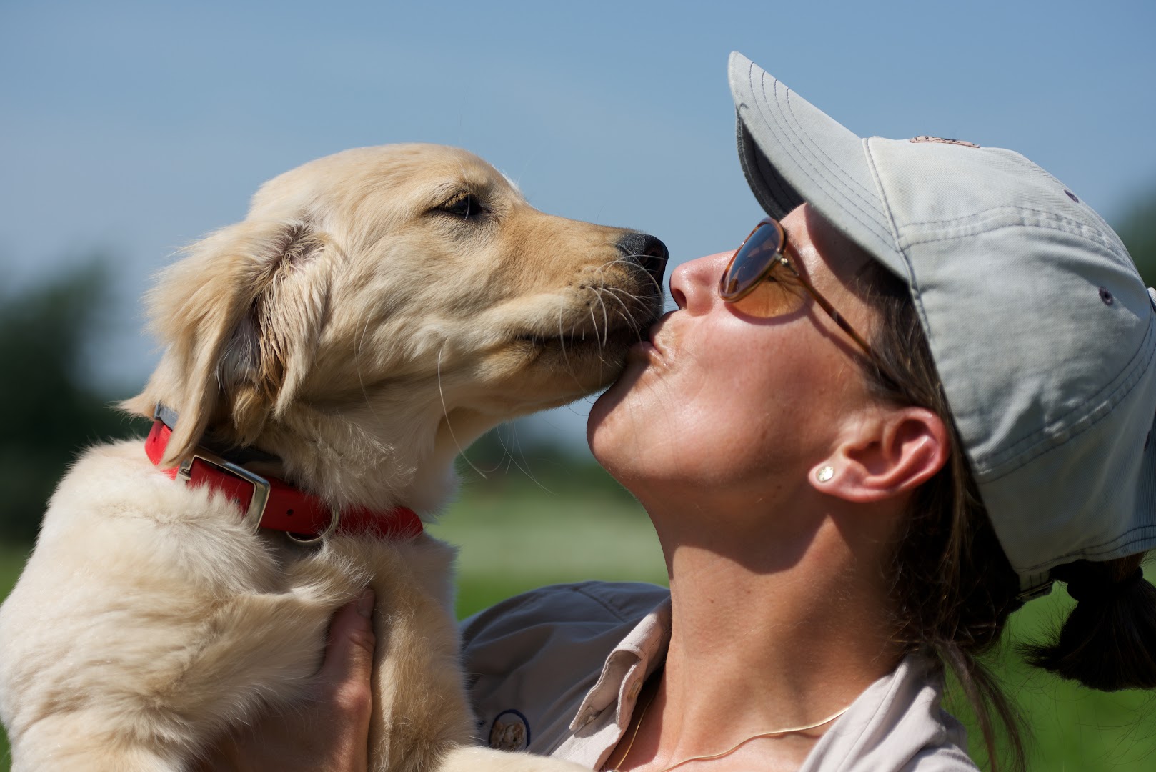 Augusta Dog Training And Doggy Daycare Long Lake
