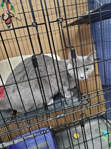 Pet Supply Store «Pet Food Center», reviews and photos, 603 W Main St, Newburgh, IN 47630, USA