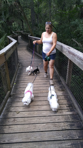 Cafe «Hillsborough State Park Poolside Cafe», reviews and photos, 15402 U.S. 301, Thonotosassa, FL 33592, USA