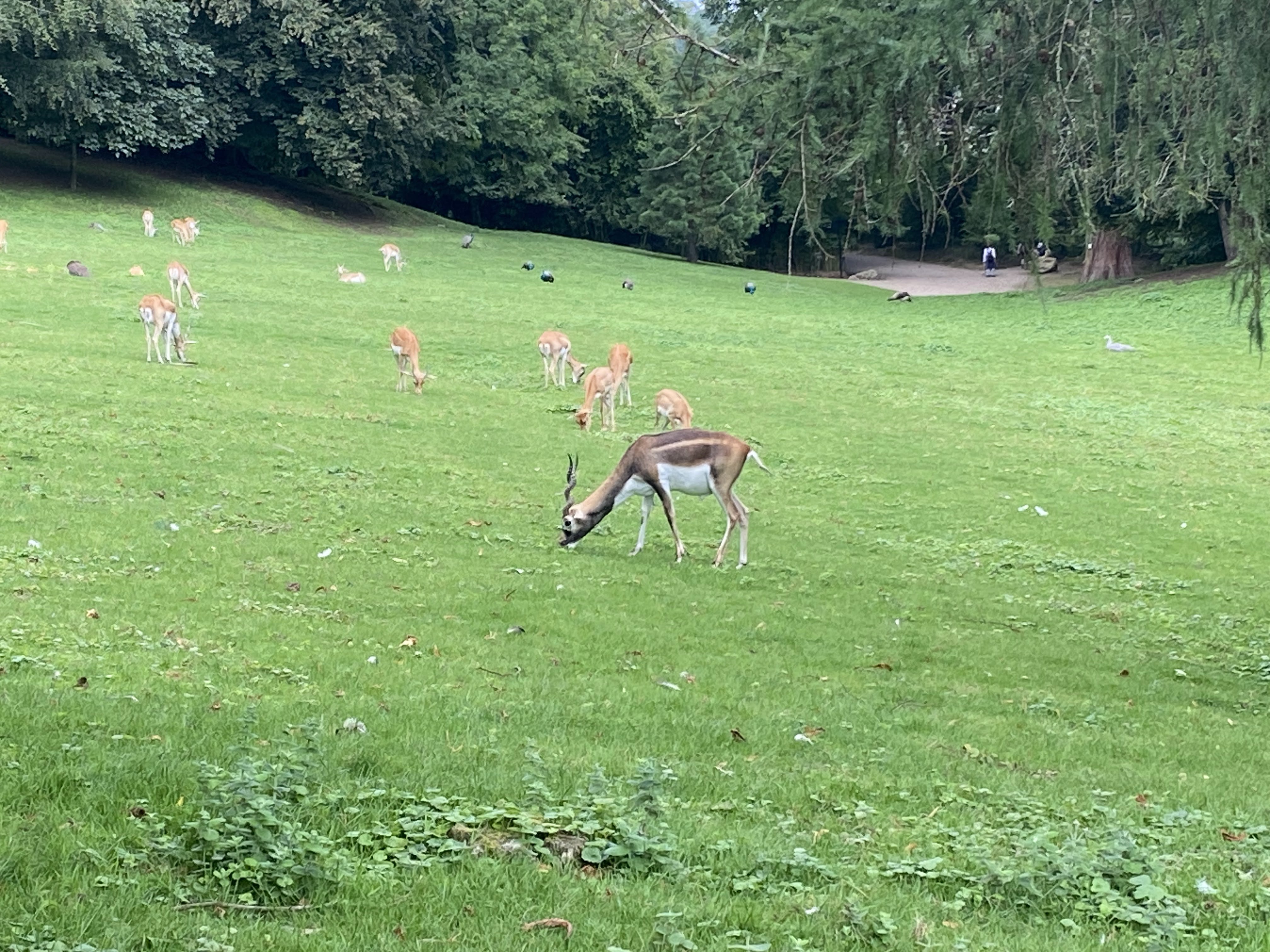 Photo n° 22 de l'avis de Mickael.e fait le 11/08/2023 à 05:54