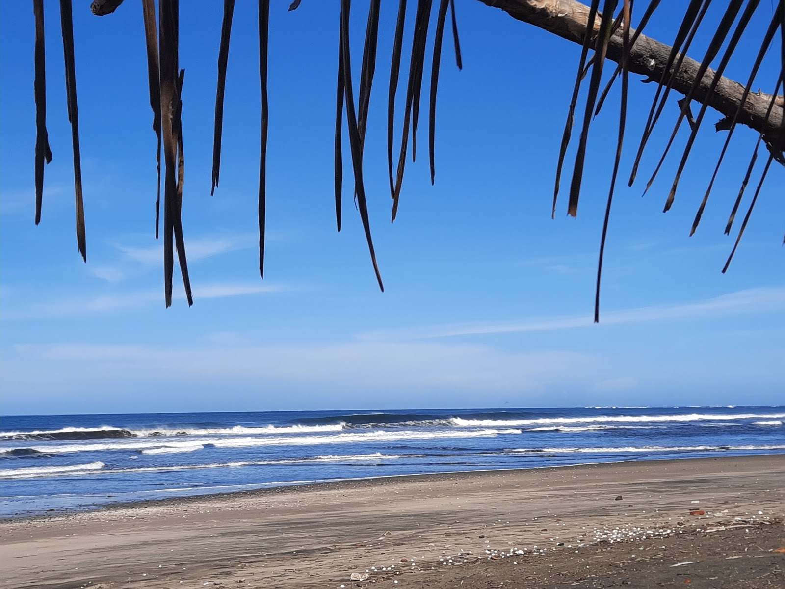 Photo de Los Zorros beach zone des équipements