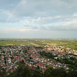 Photo n°8 de l'avis de Sascha.. fait le 29/07/2018 à 15:04 sur le  Burgschänke Landeck à Klingenmünster