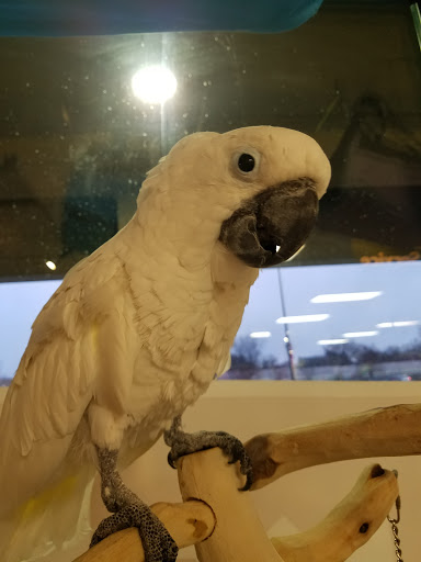 Pet Store «Petland», reviews and photos, 2123 Old Hudson Rd, St Paul, MN 55119, USA