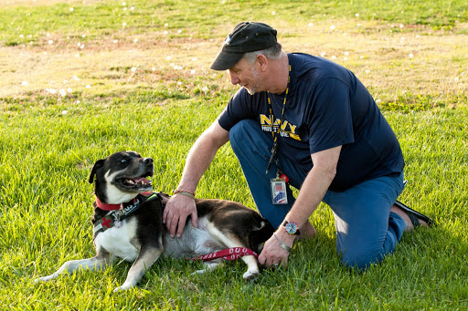 Pet Supply Store «At Your Services Pet Supplies», reviews and photos, 55 S Valle Verde Dr #300, Henderson, NV 89012, USA