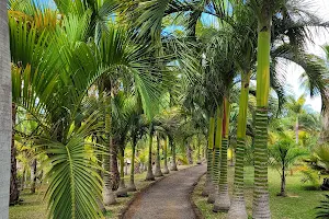 Palms Park image