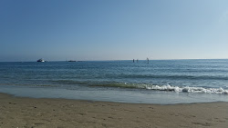 Playa de la Vibora'in fotoğrafı imkanlar alanı