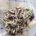 Photo n°6 de l'avis de Alessandro.a fait le 25/02/2024 à 15:22 sur le  Trattoria CANTU' dal 1897 à Olginate