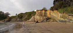 Foto von Playa de San Pedro de Antromero umgeben von Bergen