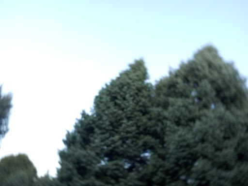 Live Music Venue «Blossom Music Center», reviews and photos, 1145 W Steels Corners Rd, Cuyahoga Falls, OH 44223, USA