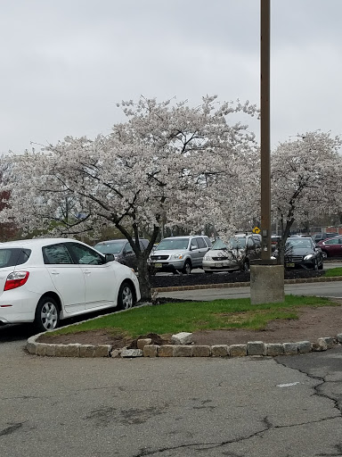 Shopping Mall «Essex Green Shopping Center», reviews and photos, 495 Prospect Ave, West Orange, NJ 07052, USA