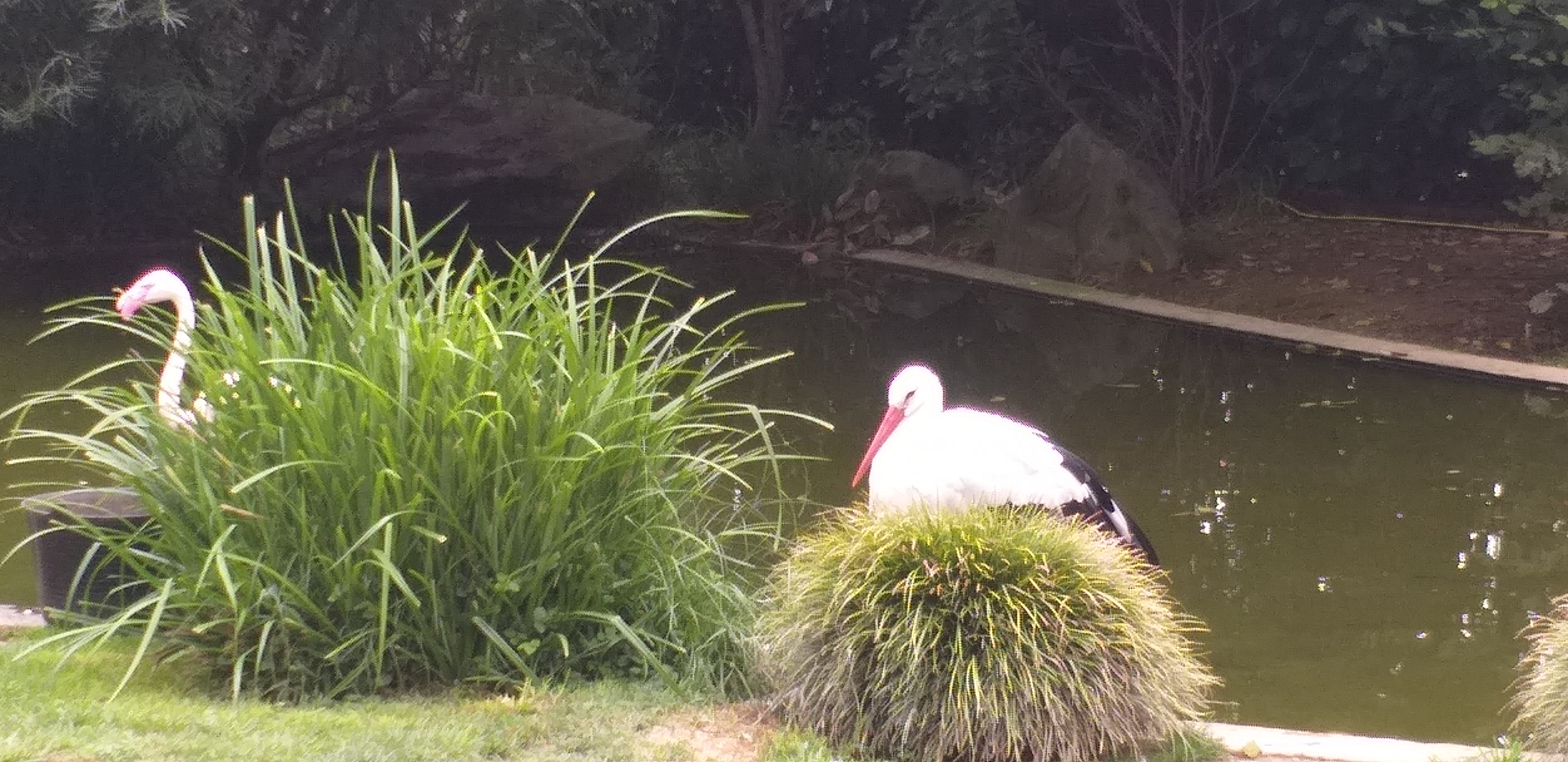 Photo n° 15 de l'avis de Caroline.e fait le 11/08/2019 à 21:48