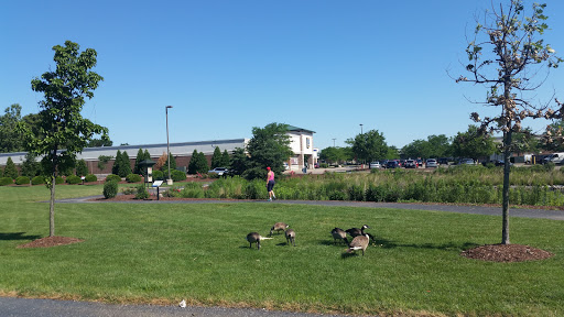 Park «Yukich Field», reviews and photos, 8900 S Kedzie Ave, Evergreen Park, IL 60805, USA