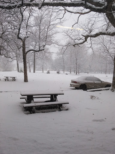 Cemetery «Crown Hill Funeral Home and Cemetery», reviews and photos, 700 38th St, Indianapolis, IN 46208, USA