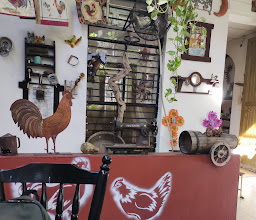 El Gallito Restaurante photo