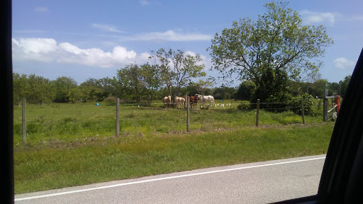 Self-Storage Facility «Great Value Storage», reviews and photos, 2502 Bay St N, Texas City, TX 77590, USA