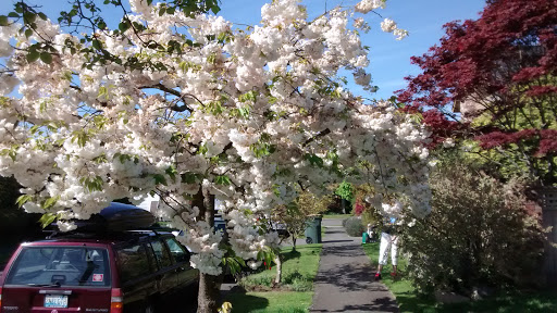 Park «Schmitz Preserve Park», reviews and photos, 5551 SW Admiral Way, Seattle, WA 98116, USA