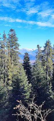 Les plus récentes Hébergement d'intérieur Les Blanches Provençales 04140 Selonnet