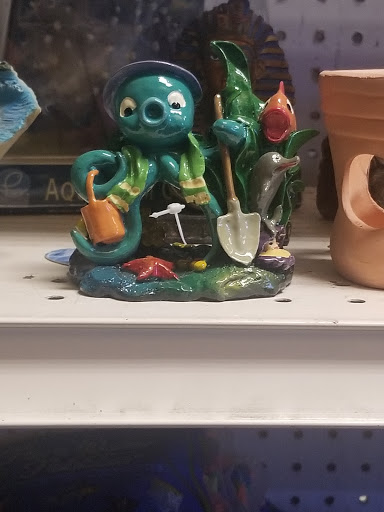 Tropical Fish Store «Sunset Pet & Supplies», reviews and photos, 1373 Sunset Blvd, Los Angeles, CA 90026, USA