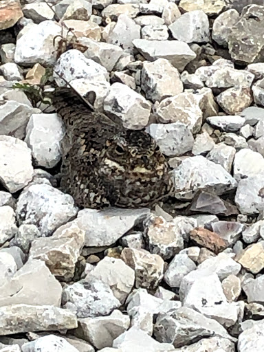 Self-Storage Facility «Life Storage», reviews and photos, 10260 Marbach Rd, San Antonio, TX 78245, USA