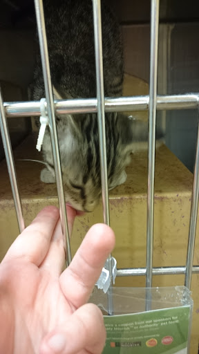 Pet Supply Store «PetSmart», reviews and photos, 3500 IN-38, Lafayette, IN 47905, USA