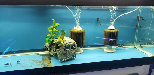 Pet Store «Fish Bowl Aquarium & Pet Mart», reviews and photos, 725 Providence St, West Warwick, RI 02893, USA