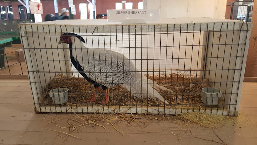 Fair «Colorado State Fair Rentals», reviews and photos, 1001 Beulah Ave, Pueblo, CO 81004, USA