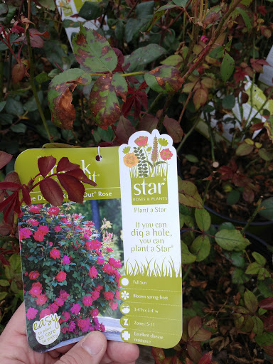 Department Store «Rural King», reviews and photos, 1920 Lube Way, Jasper, IN 47546, USA