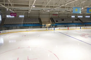 Ledovaya Arena image