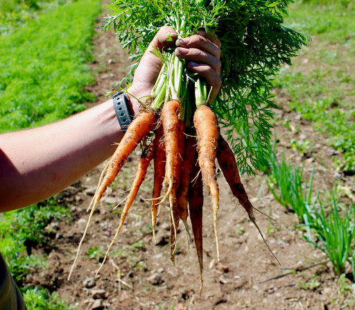 Health Food Store «Common Crow Natural Market», reviews and photos, 200 Eastern Ave, Gloucester, MA 01930, USA