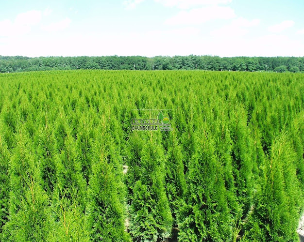 Pötréte, Kossuth u., 8769