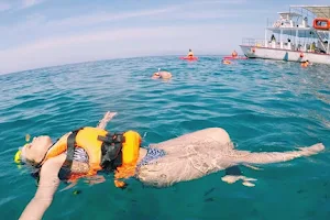 Caletillas Tours Puerto Vallarta image