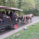 Photo n°3 de l'avis de Fliesenverlegung.o fait le 08/10/2022 à 18:14 sur le  Hotel Hof Tütsberg à Schneverdingen