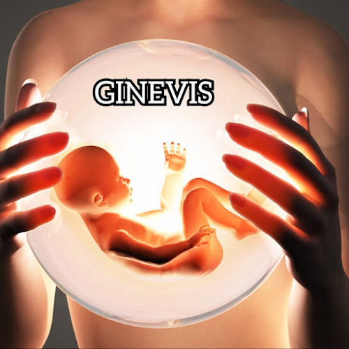 Comentarios y opiniones de GINEVIS