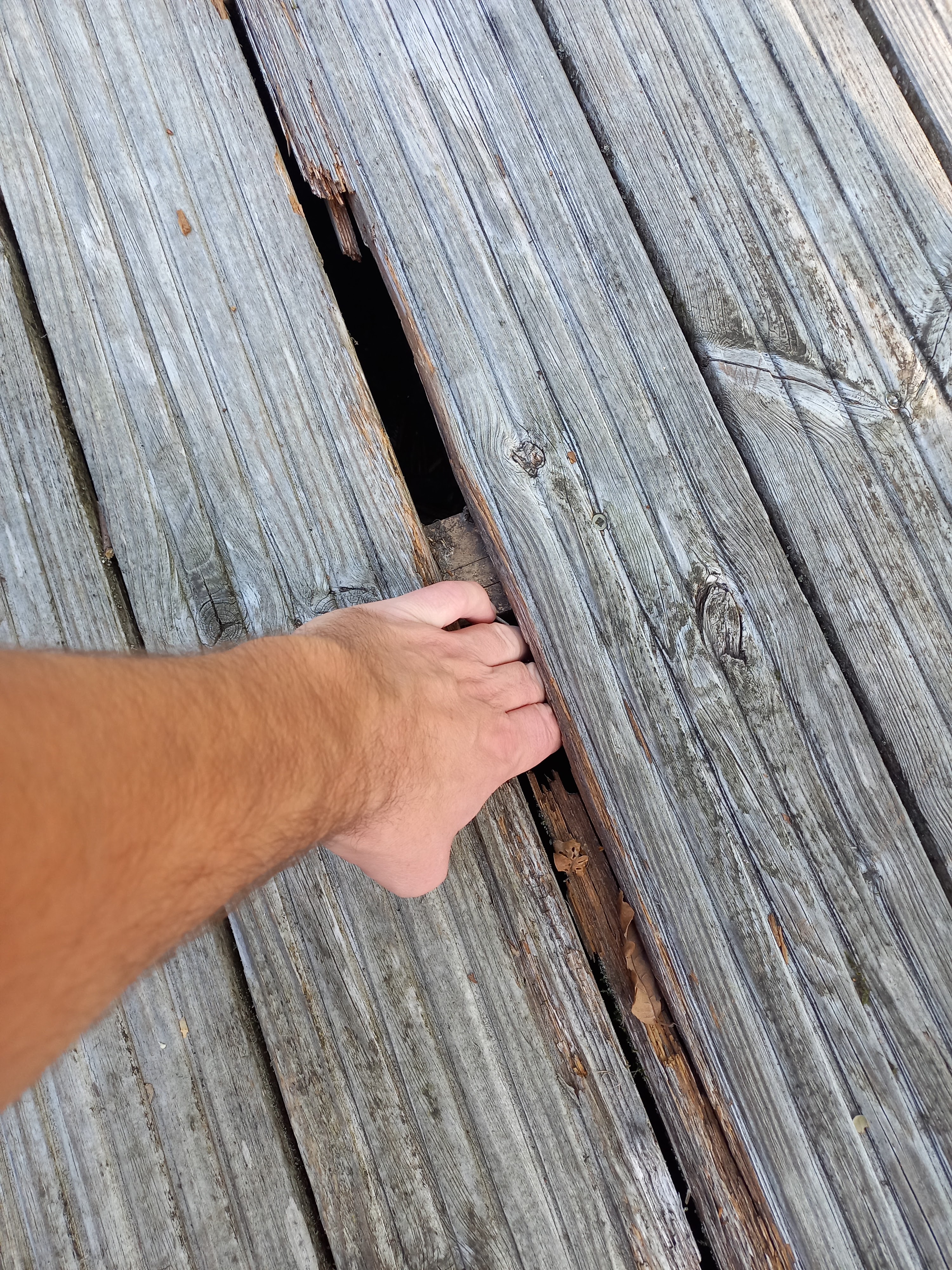 Photo n° 1 de l'avis de jojofreestyle29. fait le 17/10/2023 à 09:15