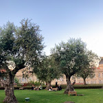 Photo n°4 de l'avis de J’irais.a fait le 17/08/2022 à 07:30 sur le  Base Porto à Porto