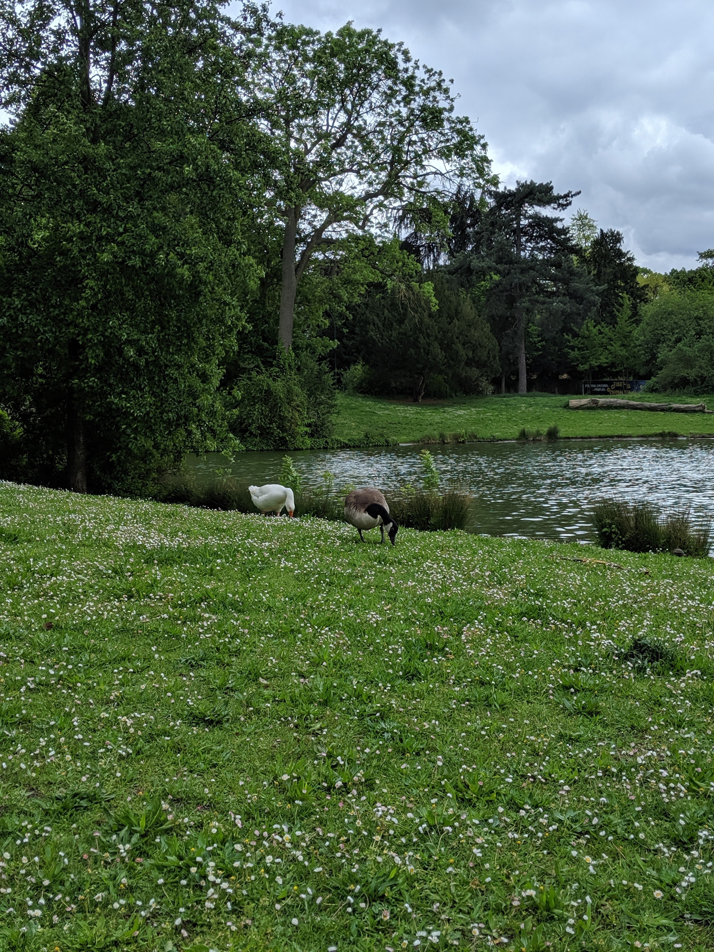 Photo n° 17 de l'avis de Bruno. fait le 09/05/2019 à 17:47